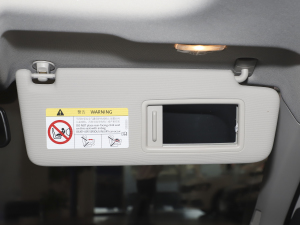 2021Plus 1.5L Ԅȫ g