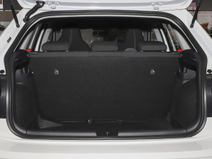 2021Plus 1.5L Ԅȫ g