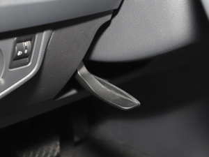 2021Plus 1.5L Ԅȫ g