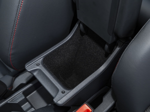 2021Plus 1.5L ԄŲʿƼ g