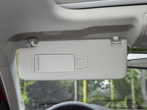 2021Plus 1.5L ԄŲʿƼ g