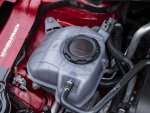 2021Plus 1.5L ԄŲʿƼ 