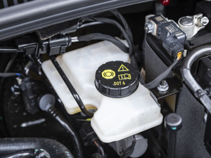 2021Plus 1.5L ԄŲʿƼ 