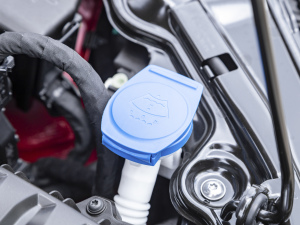 2021Plus 1.5L ԄŲʿƼ 