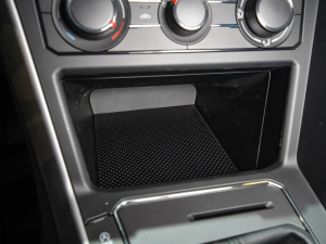 2021Plus 1.5L քȫ g