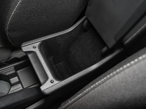 2021Plus 1.5L քȫ g