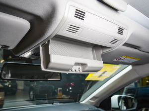 2021Plus 1.5L քȫ g