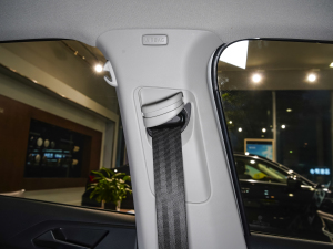 2021Plus 1.5L քȫ g