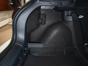 2021Plus 1.5L քȫ g