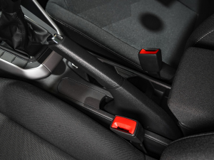 2021Plus 1.5L քȫ v܇Ƅ