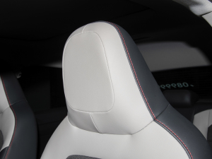 2021Plus 1.5L Ԅӳ g