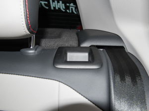 2021Plus 1.5L Ԅӳ g