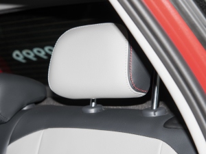 2021Plus 1.5L Ԅӳ g