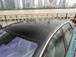 2021��Pro �O�ǰ� ܇�