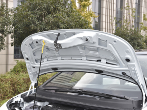 2021��1st Edition ID.��Ҋ�� �l�әCœ������