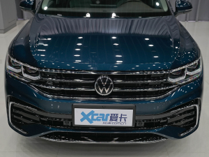 2022款380TSI 自动四驱R-Line旗舰版7座 中网