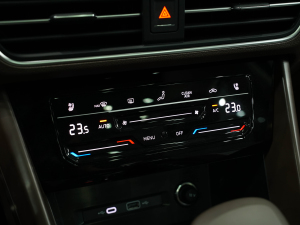 2022款380TSI 自动四驱R-Line旗舰版7座 空调调节