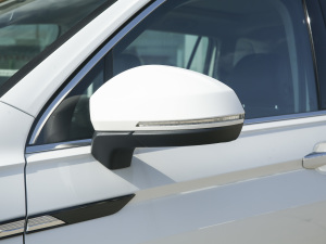 2022款330TSI 自动两驱智享版 后视镜