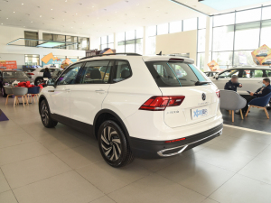 2022款330TSI 自动两驱舒享版 左后45度