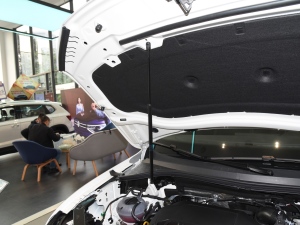 2022款330TSI 自动两驱舒享版 其它