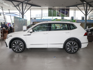 2022款380TSI 自动四驱R-Line越享版7座 正侧（左）