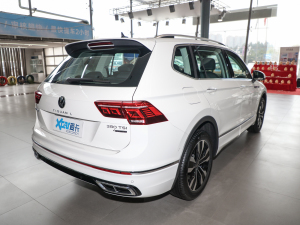 2022款380TSI 自动四驱R-Line越享版7座 右后45度