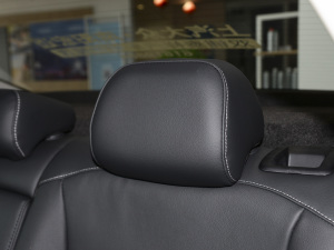 2022430PHEV (dng)Ӣ g