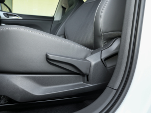 2022280TSI DSGm {{(ji)