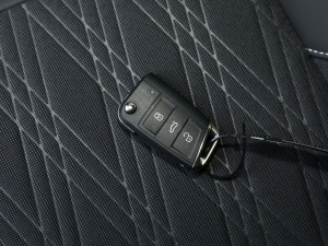 2022280TSI DSGm ܇耳