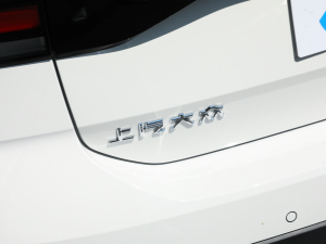 2022280TSI DSGA (x)(ji)^