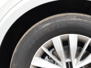 2022380TSI Ş ݆̥Ʒ