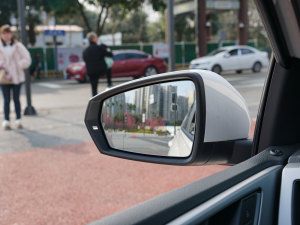 2022Plus 1.5L Ԅ(dng)v阷 (x)(ji)^