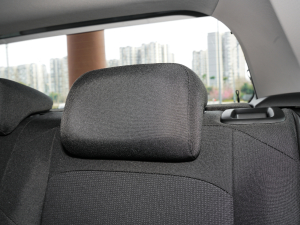 2022Plus 1.5L Ԅӿv阷 g