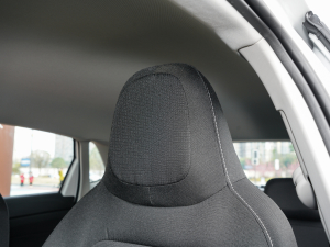 2022Plus 1.5L Ԅӿv阷 g