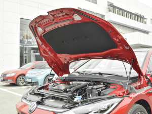 2022款凌渡L 280TSI DSG超辣旗舰版 其它