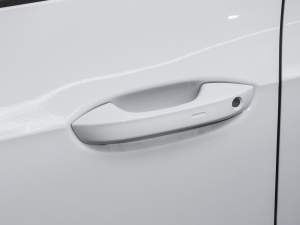 2022��Pure ������ ���{�T(m��n)����