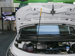 2022��Pure ������ ����