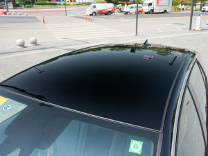 2022��Pure ������ ܇�