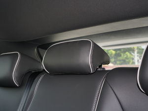 2022��Pure ������ ���g����