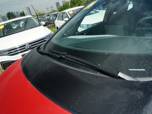 2022��Active Pure ���������� ��ˢ