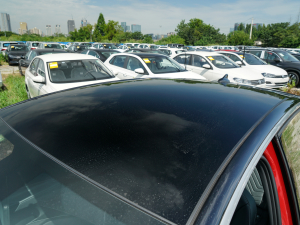 2022��Active Pure ���������� ܇�