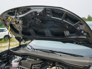 2022 l(f)(dng)C(j)œ