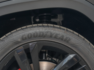 2022380TSI Oҹ޶ ݆̥Ʒ