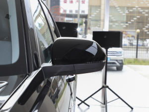 2022330TSI (q)A (ji)^