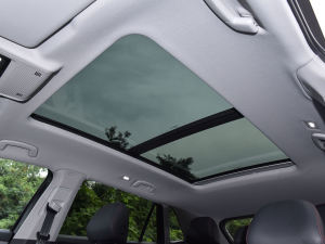 2022款330TSI 两驱尊崇豪华版 天窗