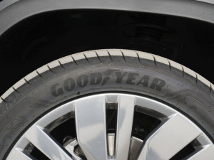 2022380TSI Ş ݆̥Ʒ