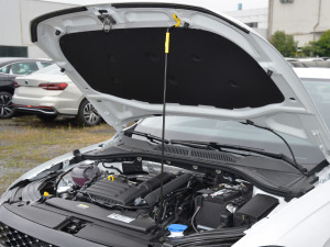 2023款200TSI DSG星空满逸版 其它
