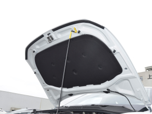 2023款200TSI DSG星空满逸版 发动机舱隔音棉