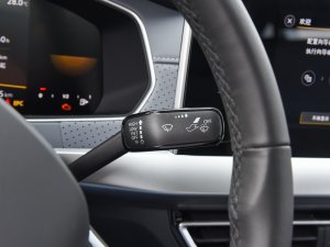 2023300TSI DSGMݰ п؅^