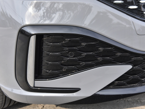 2023300TSI DSGǿݰ ^